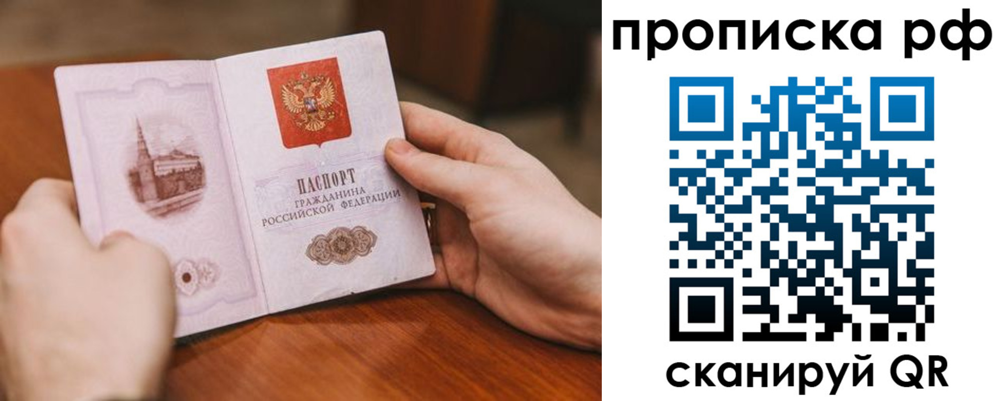 прописка поиск в Александрове